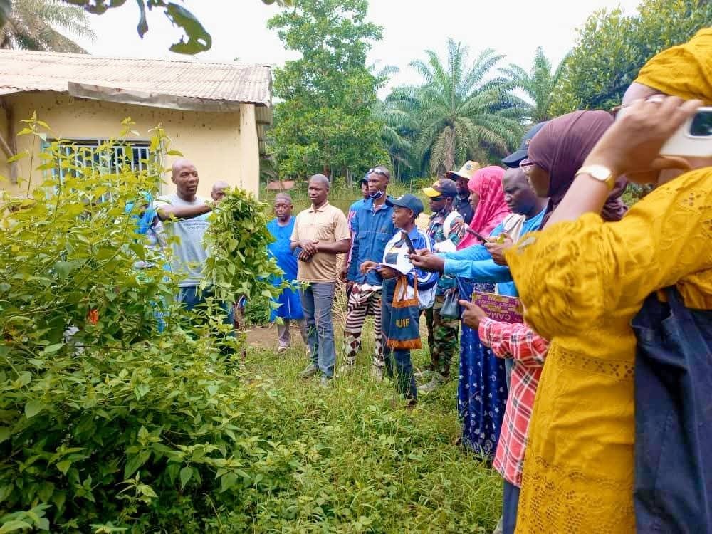 Accueil fb img 1773309931904